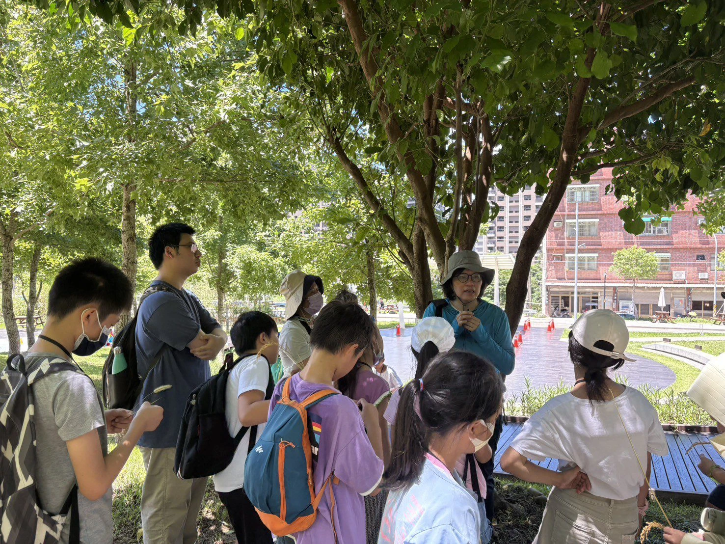 大有梯田生態公園(規劃設計者:王玲玲老師)導覽解說