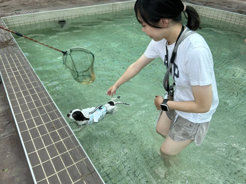 全台首座寵物戲水池今8/1正式啟用(圖/桃園市動保處)