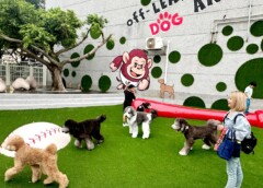 全台唯一！樂天桃園棒球場寵物樂園 Happy Hour 免費開放