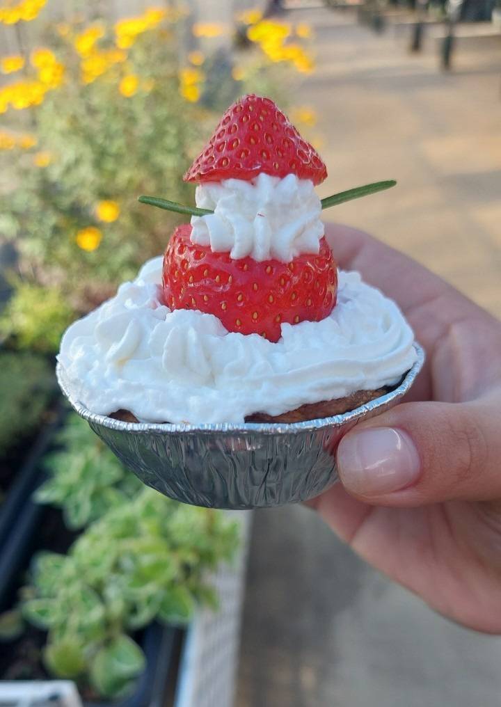 桃園草莓聖誕市集登場 草莓食農體驗免費開搶