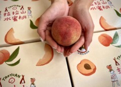 鮮甜首發！桃園拉拉山「媽媽桃」4/13起預購開跑