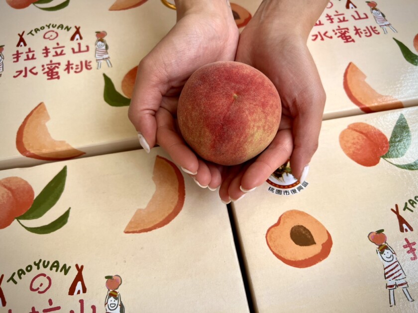 鮮甜首發！桃園拉拉山「媽媽桃」4/13起預購開跑