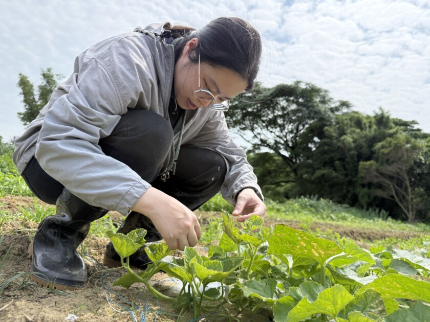 26歲的潘顯柔畢業於國立中興大學植物病理學系，也是全台首屆「植物診療師國考」合格診療師。（圖／桃園市觀音區農會）
