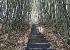 「枕頭山」可不是大家會周公時爬的枕頭山，而是因為山勢平緩如枕，四周地形險峻，遠望猶如一個巨大的枕頭橫亙於山巒之間。