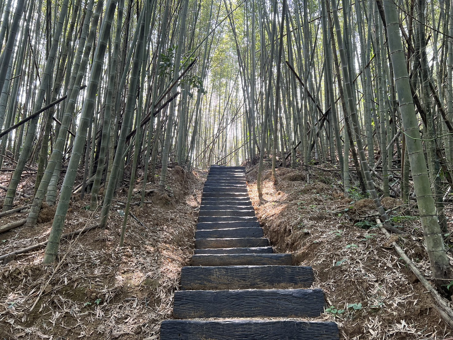 「枕頭山」可不是大家會周公時爬的枕頭山，而是因為山勢平緩如枕，四周地形險峻，遠望猶如一個巨大的枕頭橫亙於山巒之間。